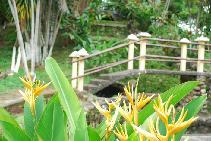 Monte Líbano&nbsp;&nbsp;