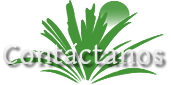 Contáctanos